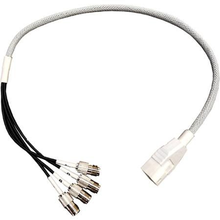 Ventev AIR-CAB002-DART-N W126188114 4 Port N Plug DART Cable 