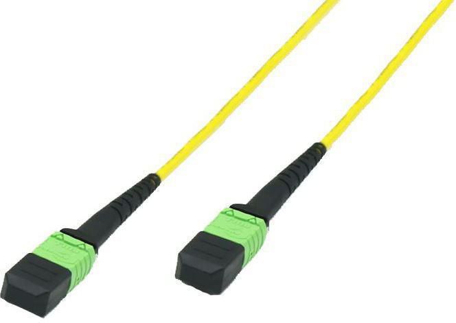 Fiber Patch Cable -  MTP -