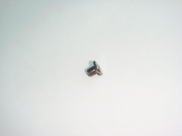 Screw M3*3L W-NI - 13GMAK3F030W-1
