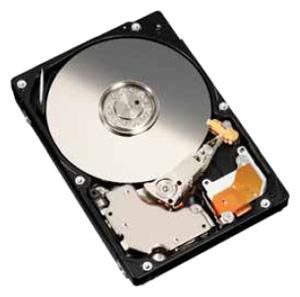 73GB SAS 10.000RPM 2,5"