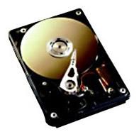 HD SAS 3Gb/s  73GB 15K hot plu