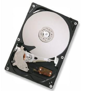 250GB SATAII 7200RPM 8MB