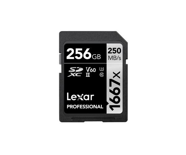 Lexar LSD256CB1667 W125985456 SDXC, 256 GB memory card 