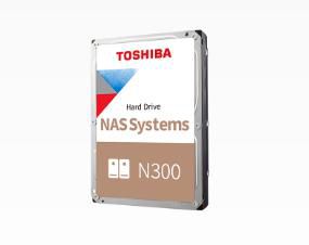 TOSHIBA N300 Gold 6TB