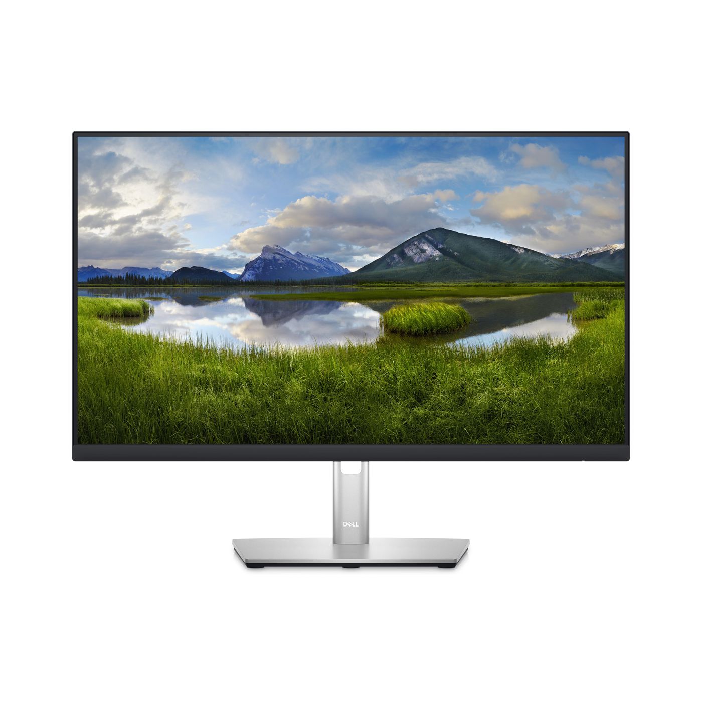 DELL LED-Monitor - 61 cm (24)