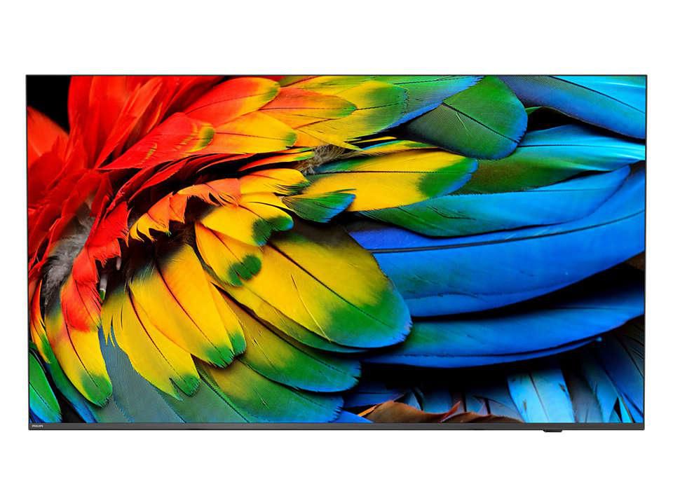 75" Business TV, 4K UHD,
