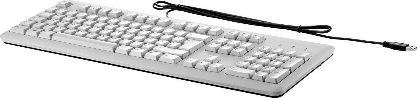 HP Tastatur Standard Basis / USB / Grau