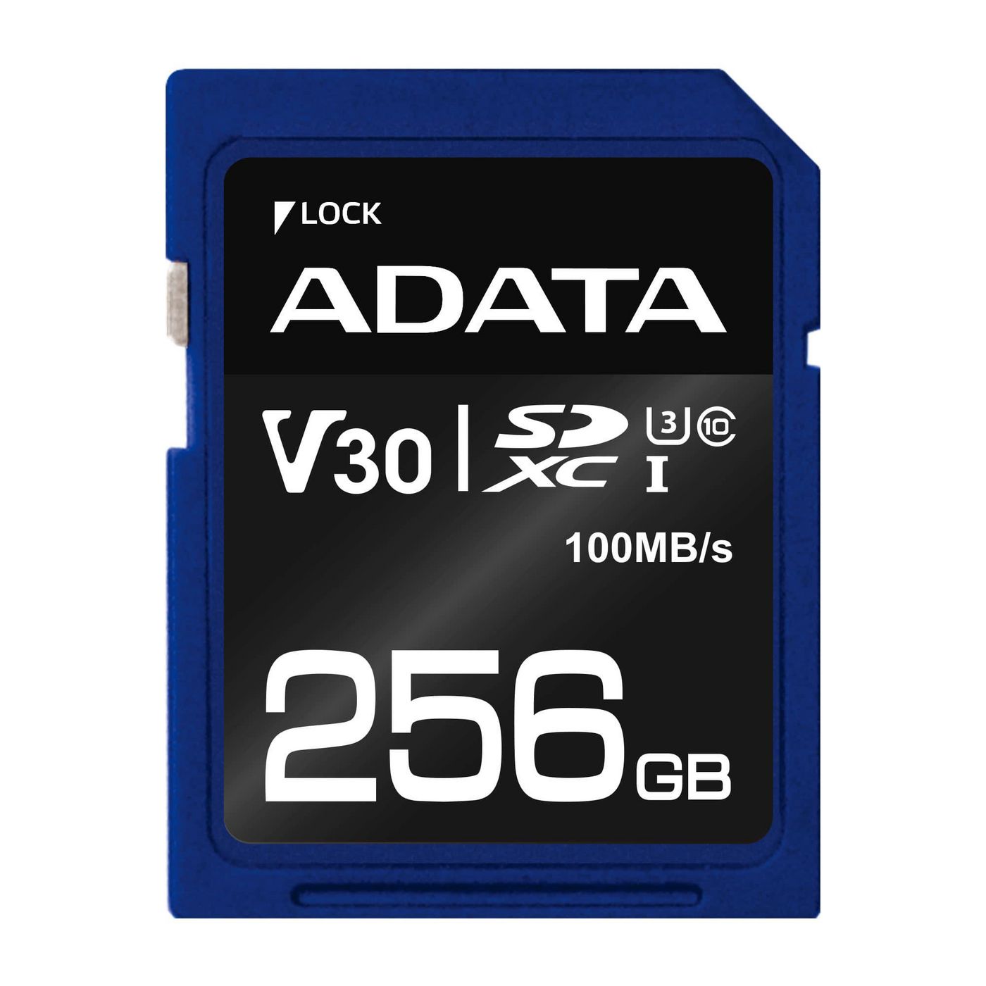 256GB SDXC UHS-I U3 V30S
