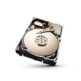 Promise-Technology F29VA2S20000008 3TB SATA HDD 3.5 inch with 