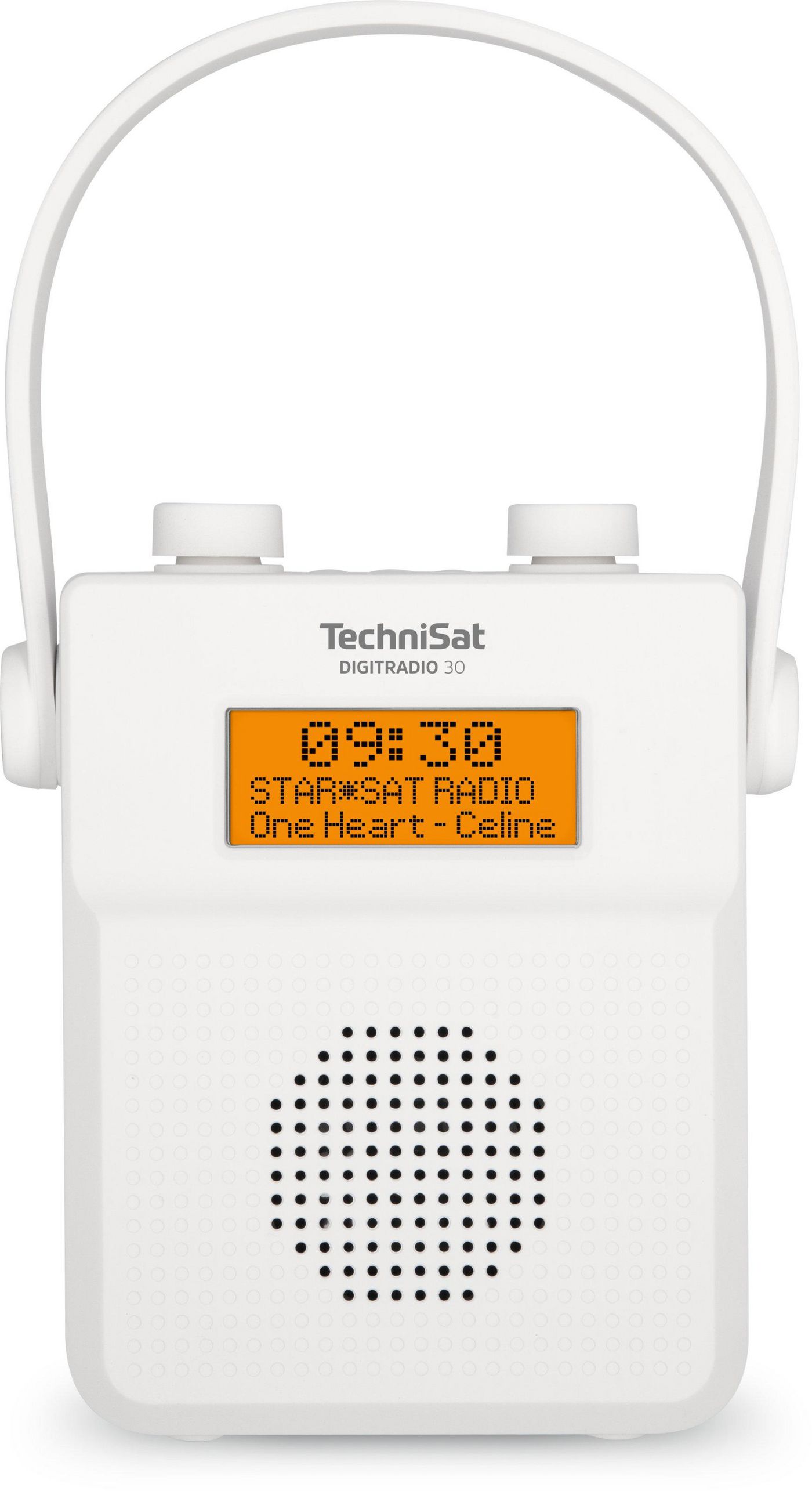 Technisat 00013955 W128262659 Digitradio 30 Portable Analog 
