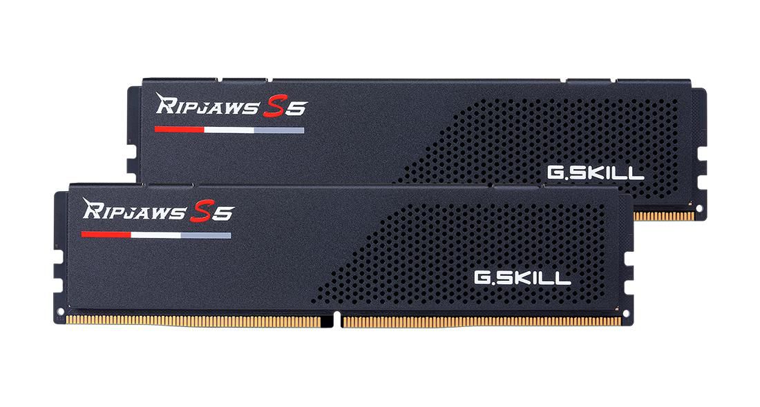G.SKILL 2Gx2-Rs5K Memory Module 64 Gb