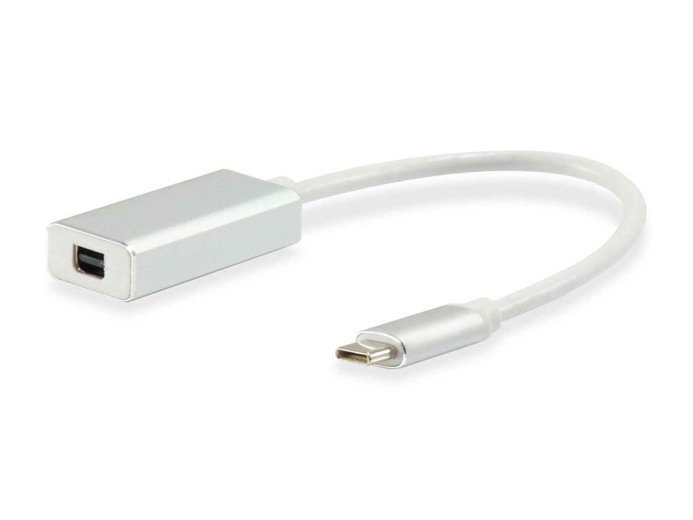 EQUIP USB C MALE TO MINI DP