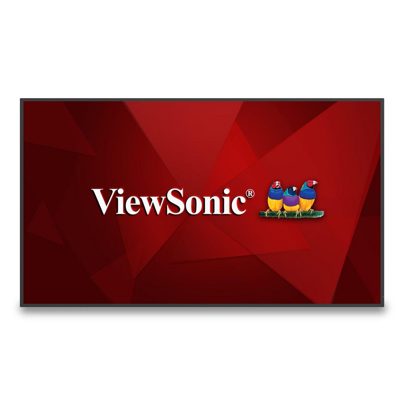 ViewSonic W128112609 CDE6530 - 65 4K UHD LED 