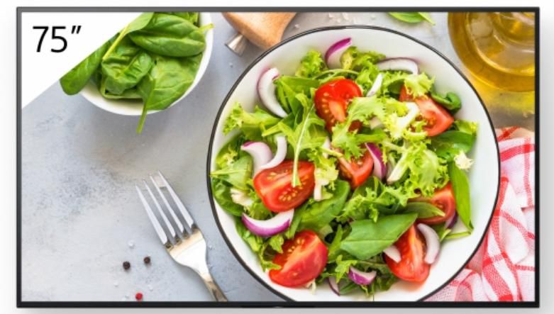 75" Pro BRAVIA LCD 550nit