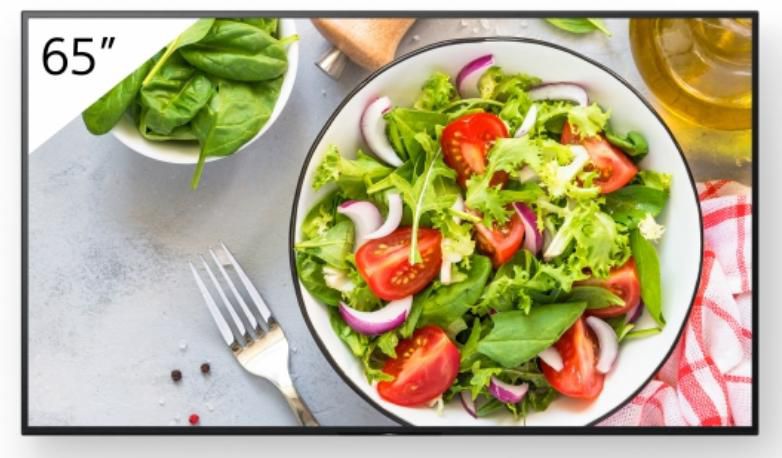 65" Pro BRAVIA LCD 550nit