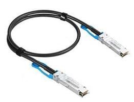 Extreme-Networks 100G-DACP-QSFP1M W128427213 Fibre Optic Cable 1 M Qsfp28 