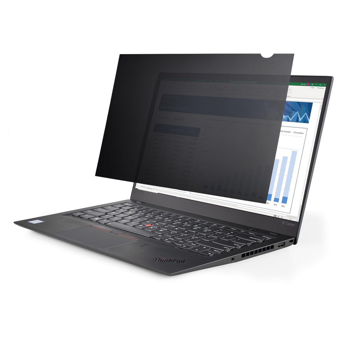 STARTECH.COM 33,78cm 13,3Zoll Laptop Sichtschutzfolie - Blickschutzfilter/Spionfolie fur Widescreen