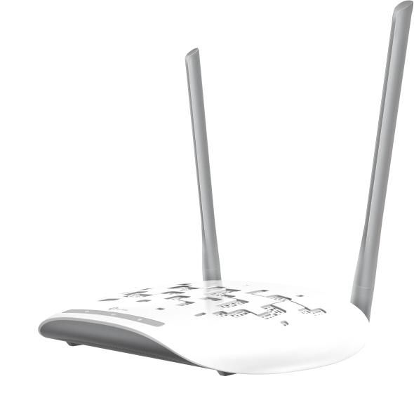 1N Wireless Access Point 300 