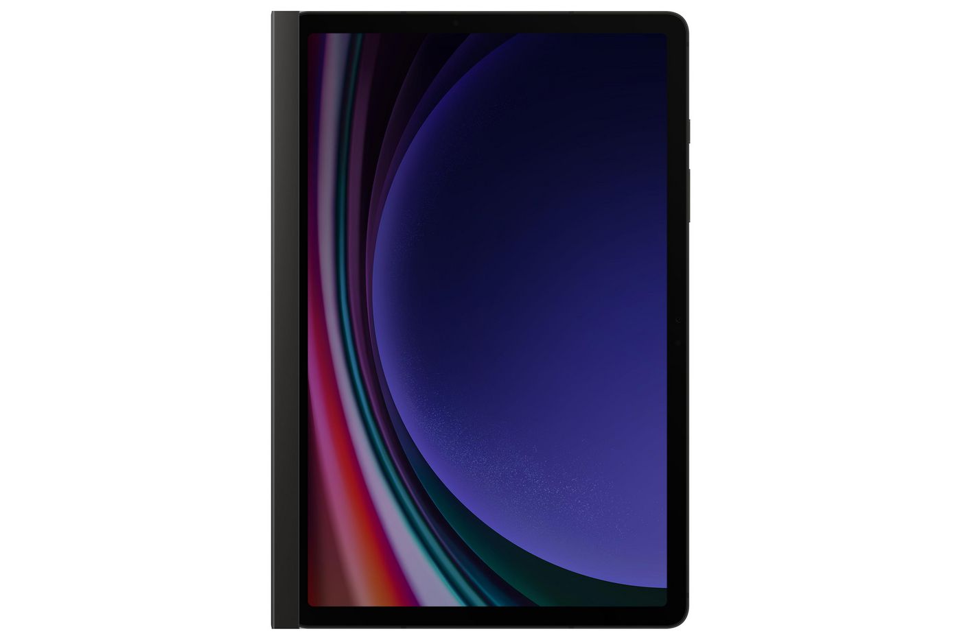 Privacy Screen Tab S9 Black