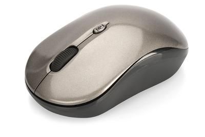 Ednet 81166 W128781629 Mouse Ambidextrous Rf 