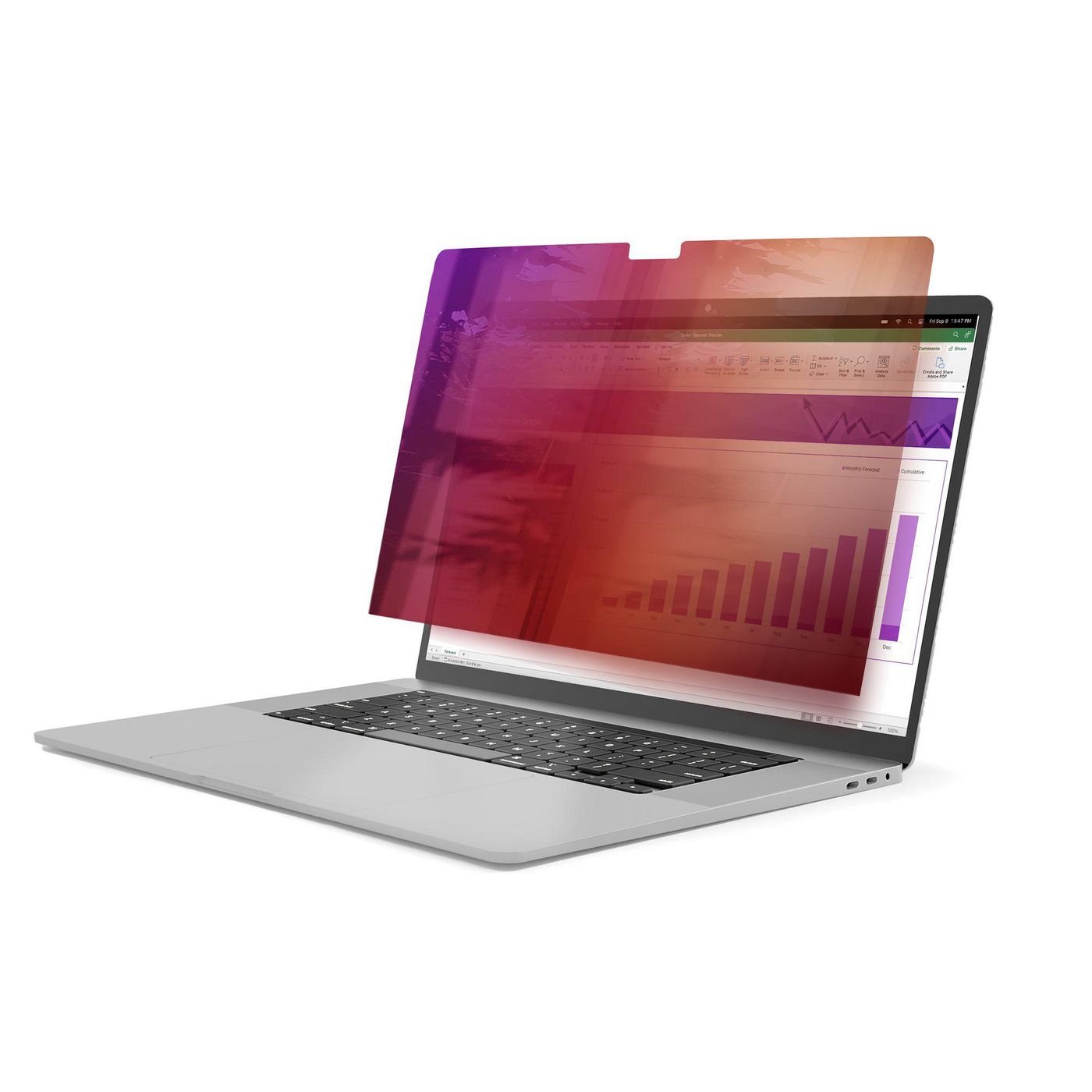 STARTECH.COM 40,64cm 16Zoll MacBook Pro 21/23 Blickschutz Doppelseitiger Laptop Goldfilter mit Erhöh
