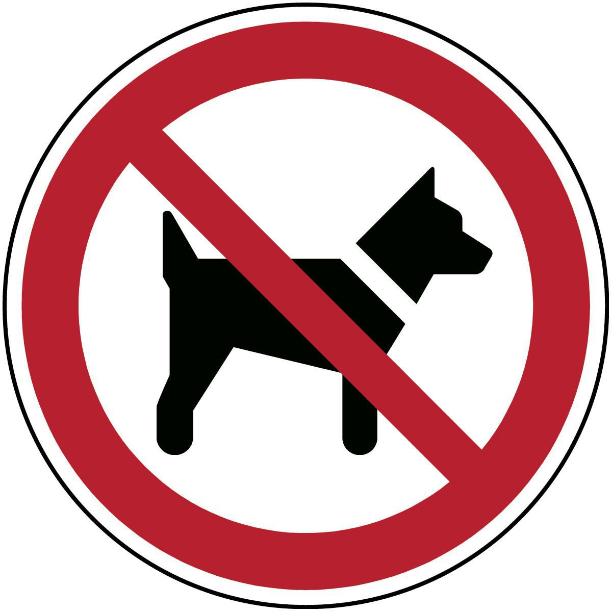Brady PIC P021-DIA 400-PP-CRD1 W128413197 ISO Safety Sign - No dogs 