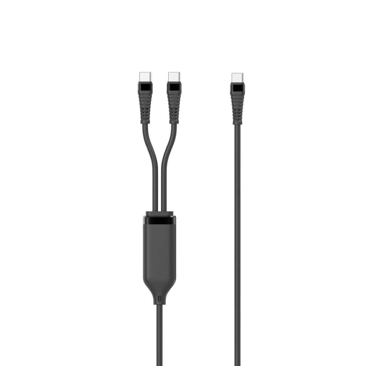 1-in-2 PD100W USB-C to