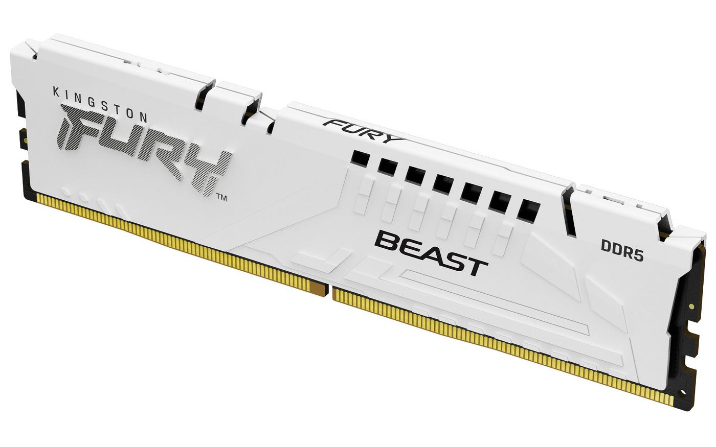 Fury Beast 32Gb 6000Mt/S Ddr5