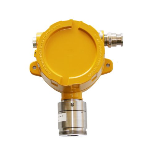 ATEX Carbon Monoxide Detector