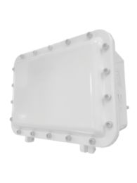 Div 1/ Zone 1 Wireless