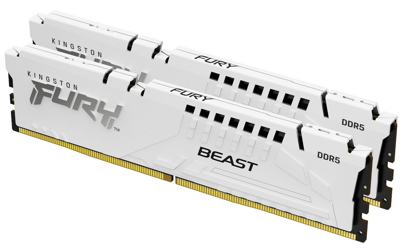 Fury Beast 32Gb 6000Mt/S Ddr5