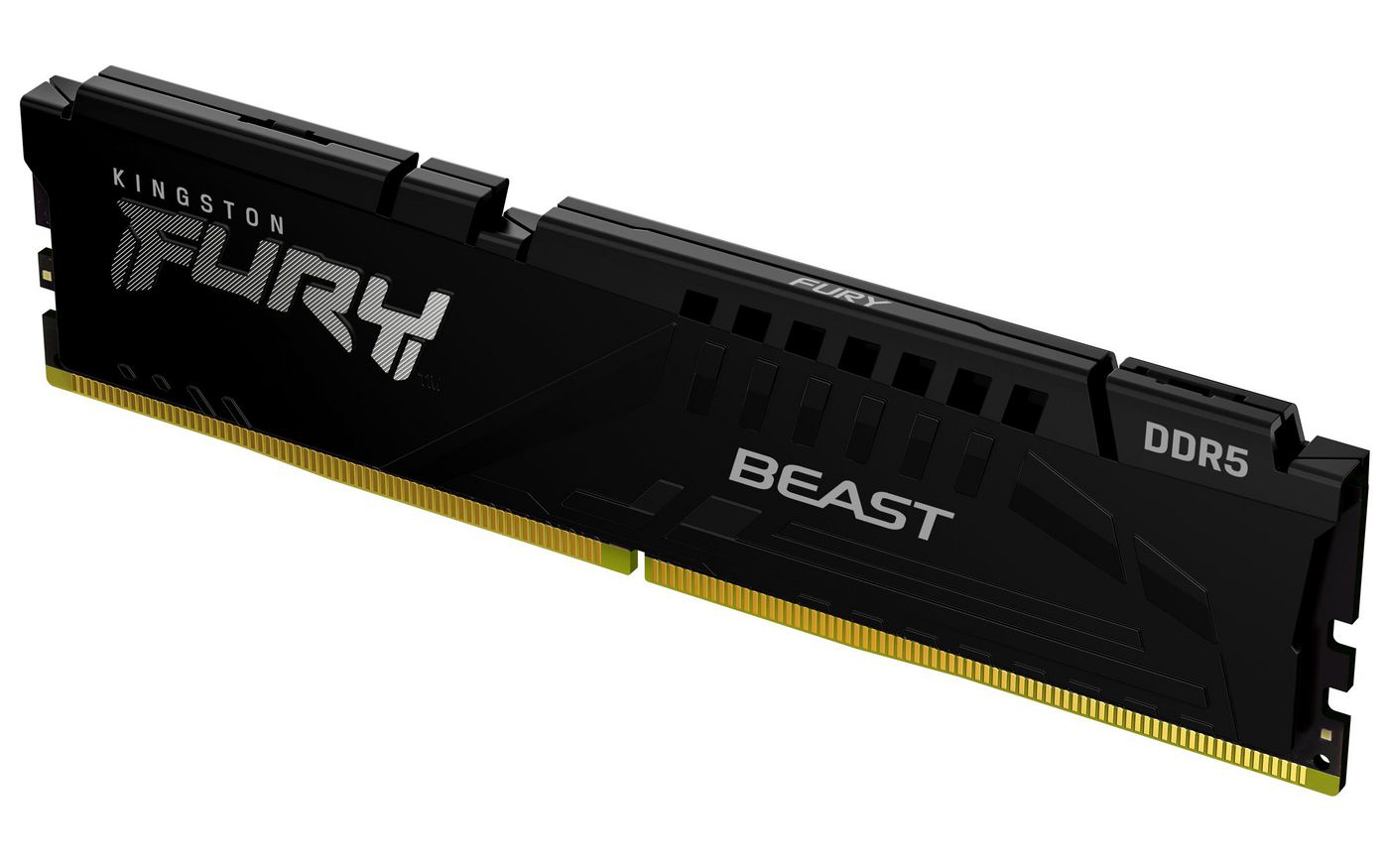 Fury Beast 16Gb 6000Mt/S Ddr5
