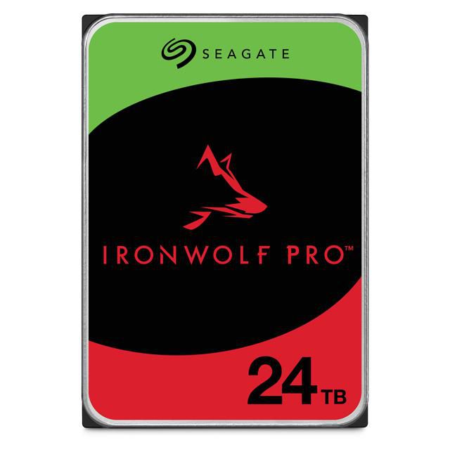 IronWolf Pro - Hard drive 24