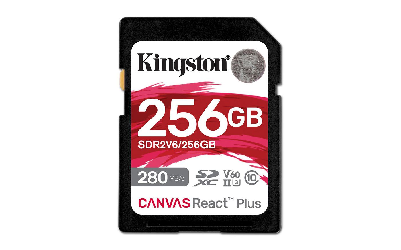 Canvas React Plus SDXC da 256 GB