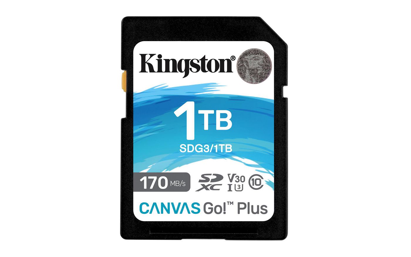 Canvas Go Plus 170R SDXC da 1 TB