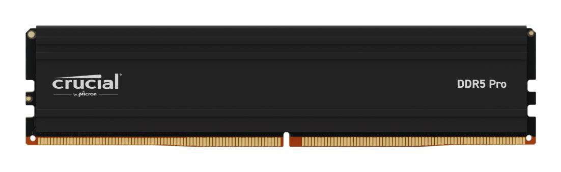 Crucial Pro CP24G56C46U5 24G DDR5-5600 Dimm Gaming