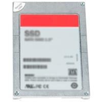 800GB SSD 2.5 SAS 12G WI