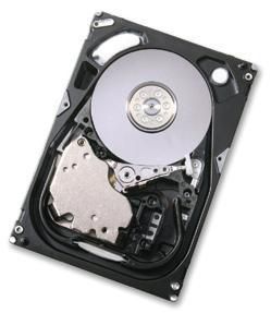 Hard Disk Drive HGST 450GB