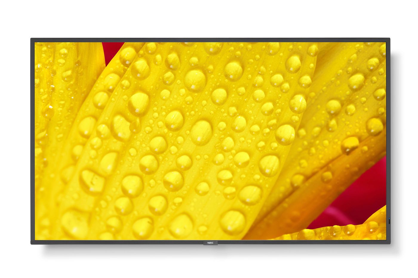 MultiSync ME651, 65"