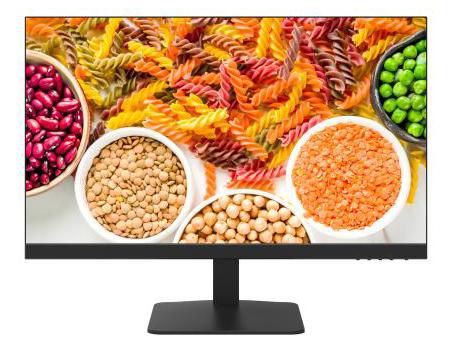 23.8 inch FHD VA 100Hz speaker
