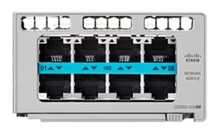 Network Switch Module 10