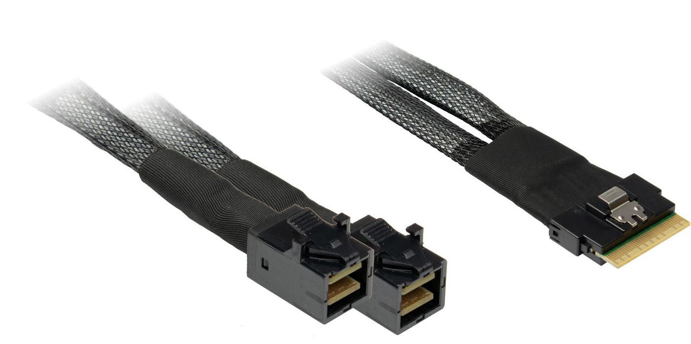 Cavo SFF 8654-8x 2xSFF 8643 0,75m