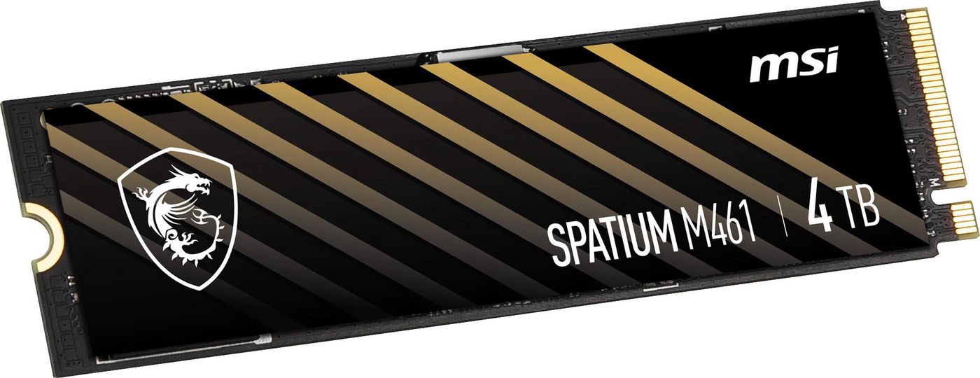 Spatium M461 Pcie 4.0 Nvme
