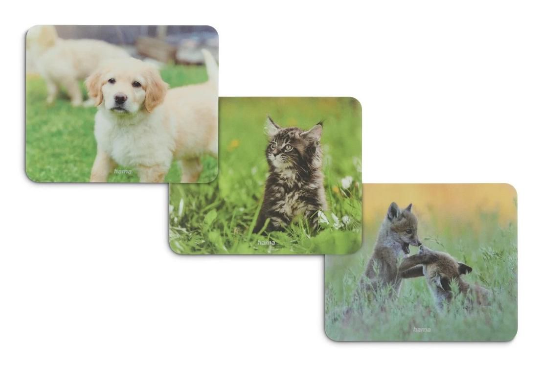 Animal Multicolour - 126872