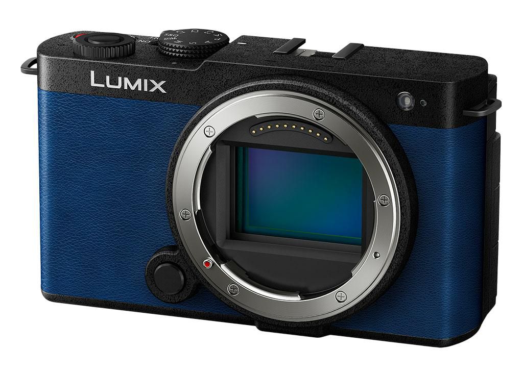 Lumix S9 Compact Camera 24.2