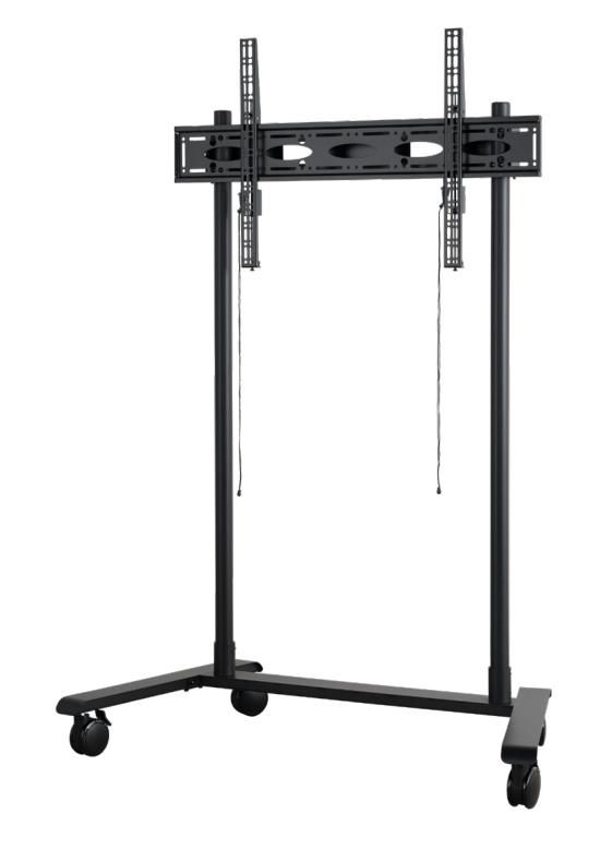 Extra-Large Flat Screen