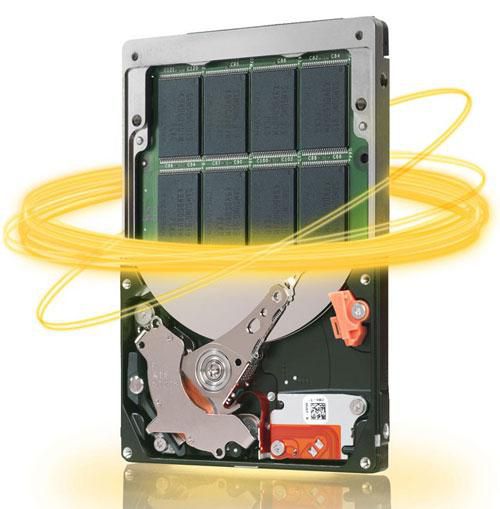 Seagate Momentus 250GB 7.2K