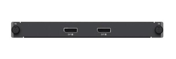 DP Input Board