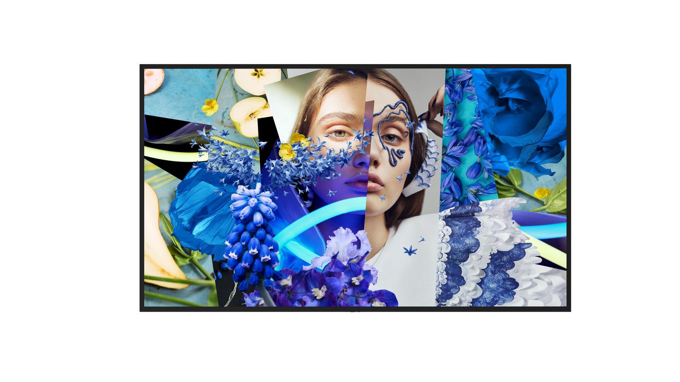 DS-D6055UN-DP, 55-inch UHD