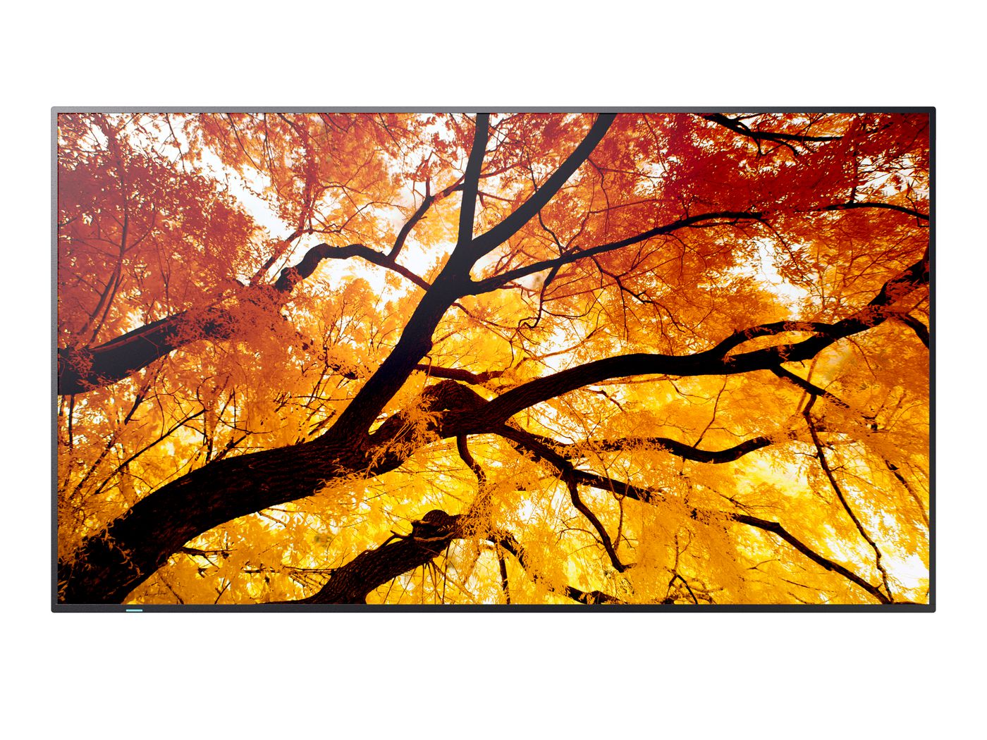 M432, 43" M-Series LFD, UHD